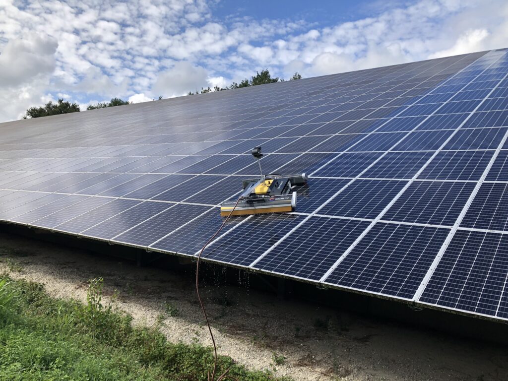 lavage panneaux solaires photovoltaïques miscanthus